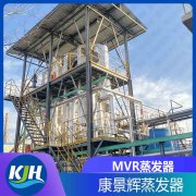 石墨生产高盐废水处理可以采用MVR蒸发器吗？