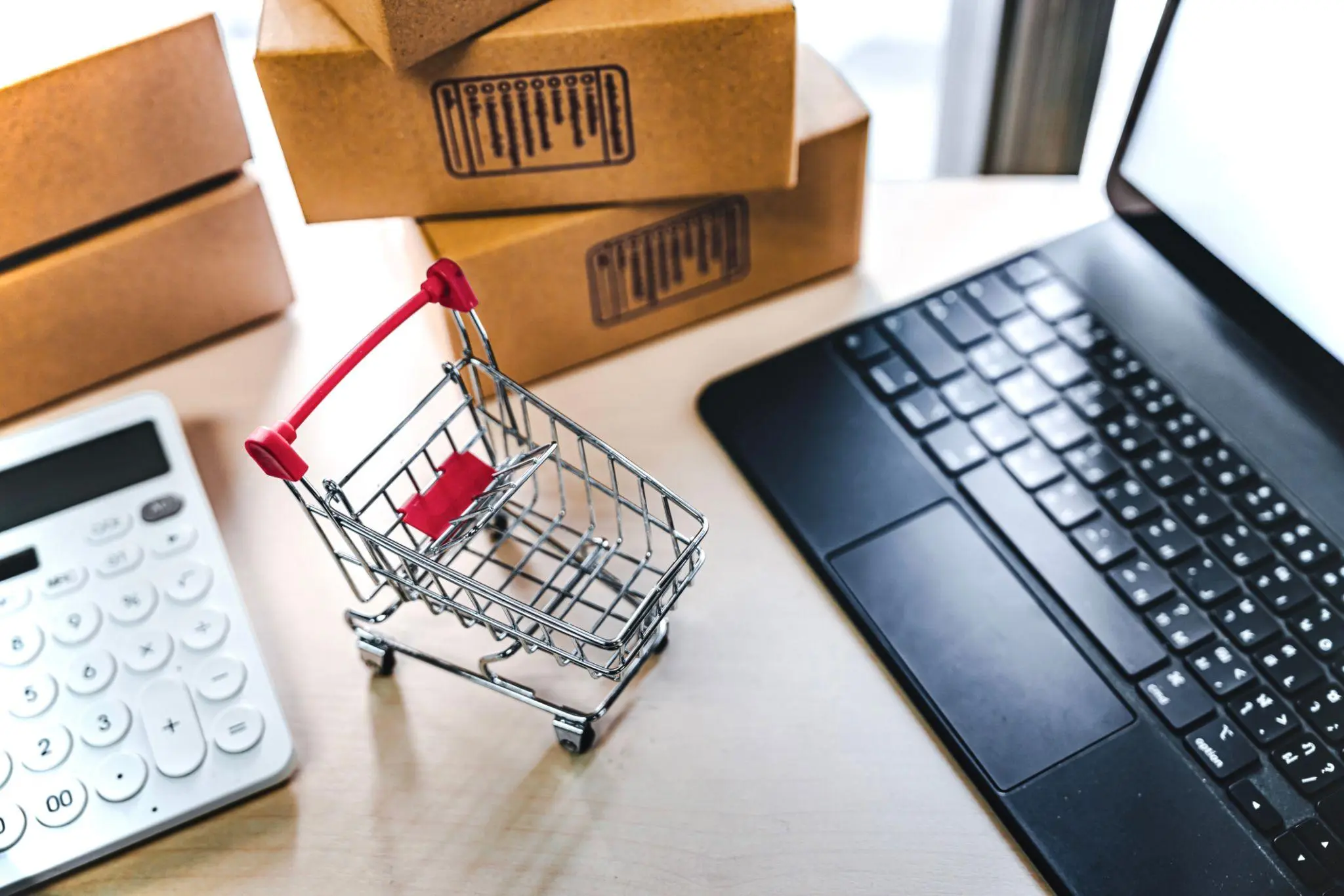 Ecommerce Website Development